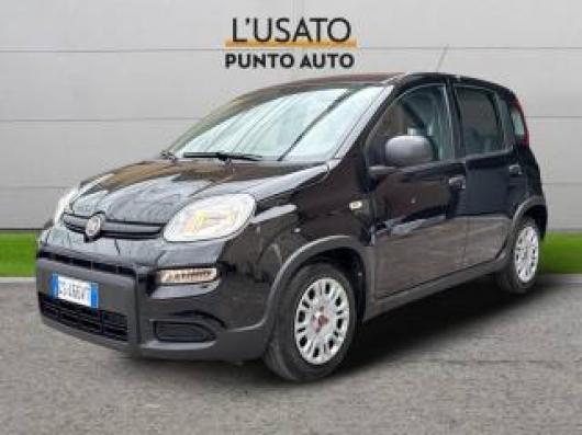 usato FIAT Panda