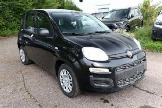 Km 0 FIAT Pandina