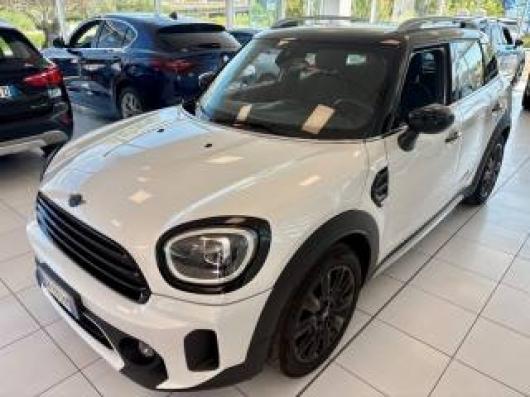 usato MINI Countryman