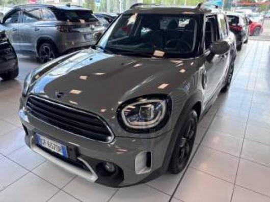 usato MINI Countryman
