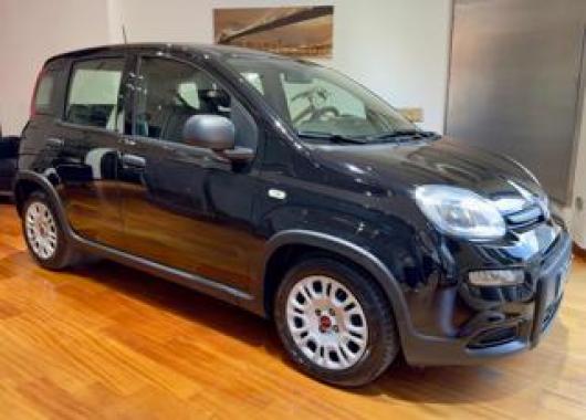 usato FIAT Panda