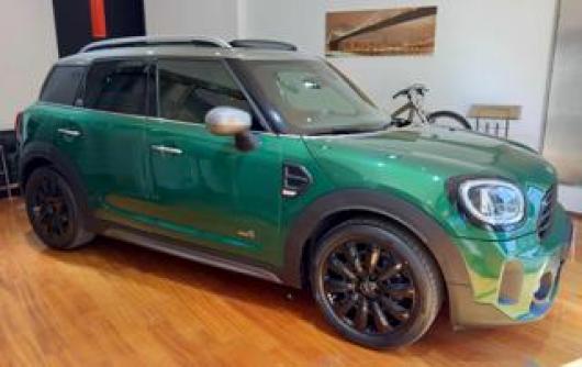 usato MINI Countryman