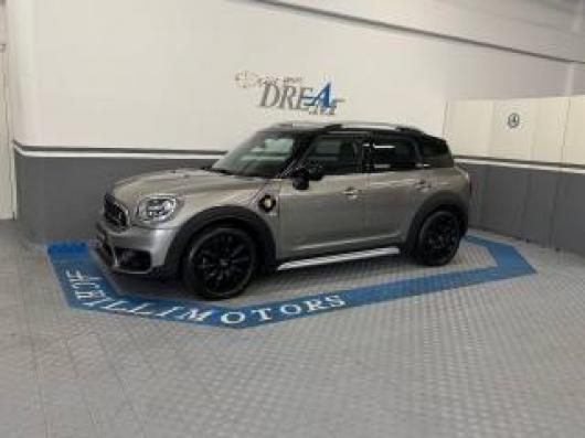usato MINI Countryman