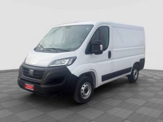 usato FIAT Ducato