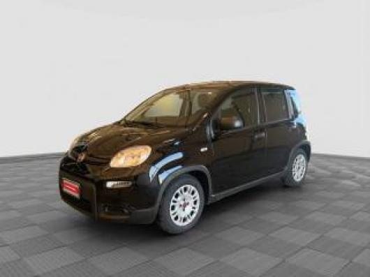 usato FIAT Panda