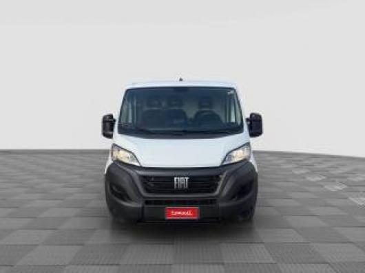 usato FIAT Ducato