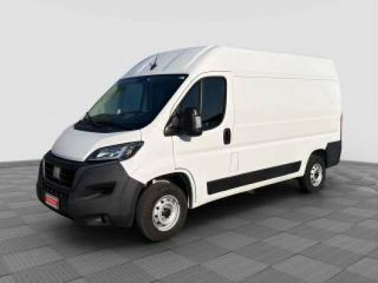 usato FIAT Ducato