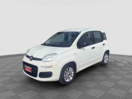 usato FIAT Panda