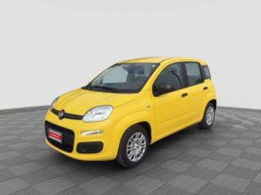usato FIAT Panda