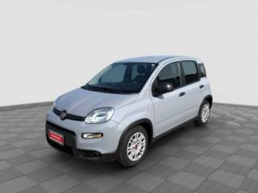 usato FIAT Panda