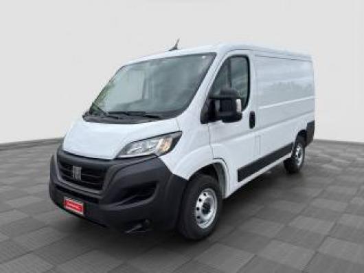 usato FIAT Ducato