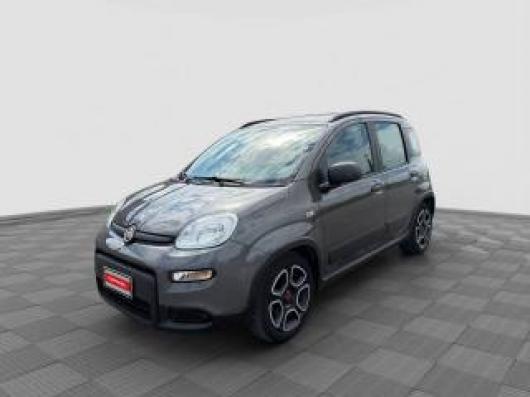 usato FIAT Panda