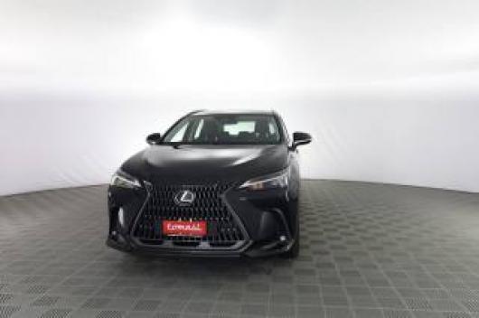 usato LEXUS Altro