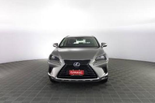 usato LEXUS Altro