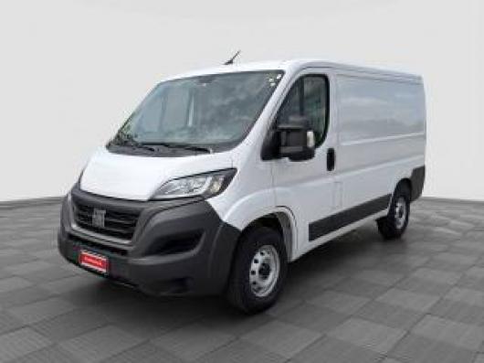 Ducato