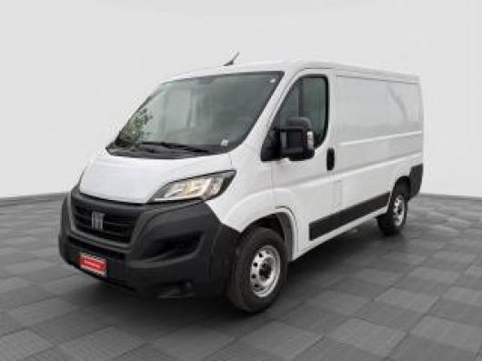 Ducato