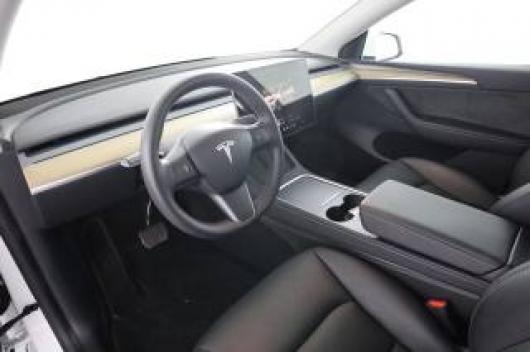 usato TESLA Model Y