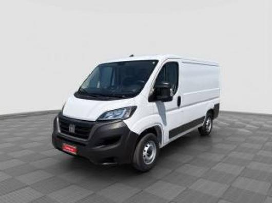 usato FIAT Ducato