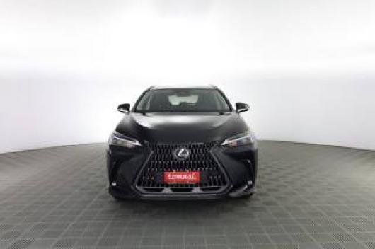 NX 350h