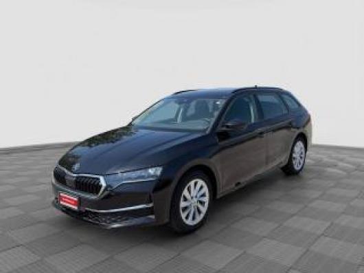 usato SKODA Octavia