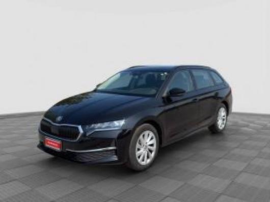 usato SKODA Octavia
