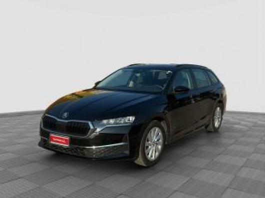 usato SKODA Octavia