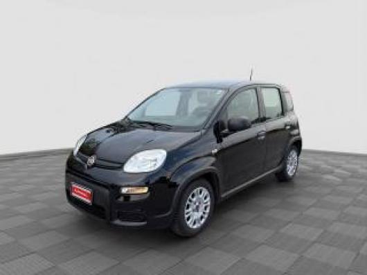 usato FIAT Panda