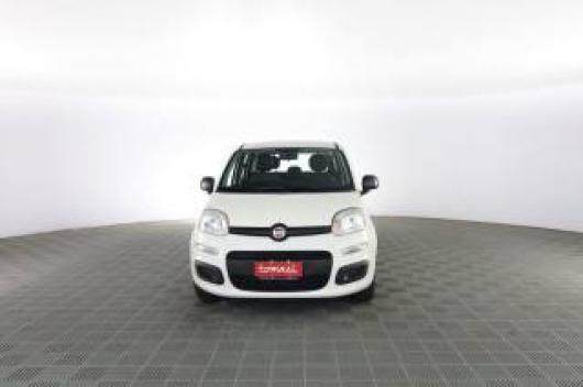 usato FIAT Panda