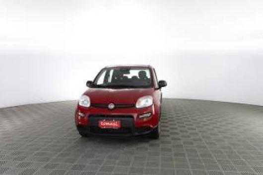 usato FIAT Panda
