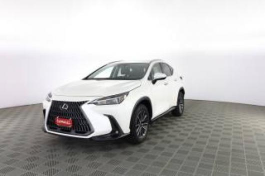 usato LEXUS Altro