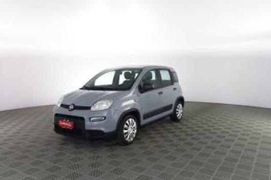 usato FIAT Panda