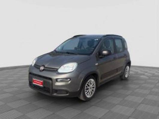 usato FIAT Panda