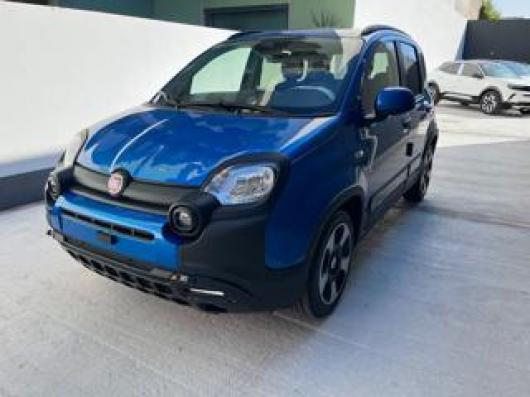 usato FIAT Panda