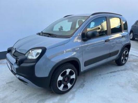 Panda Cross