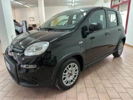 usato FIAT Panda