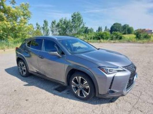 usato LEXUS UX 250h
