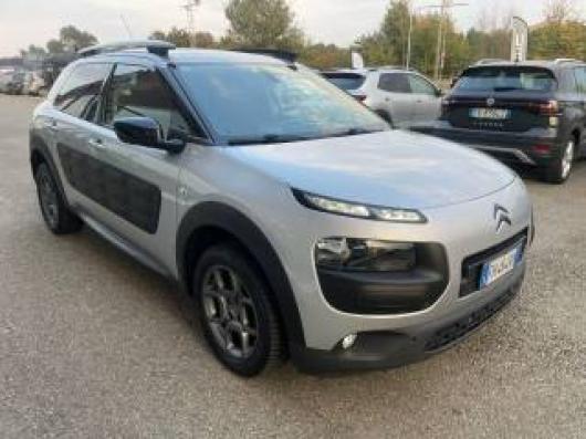 C4 Cactus
