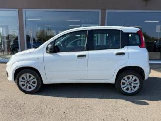 usato FIAT Panda