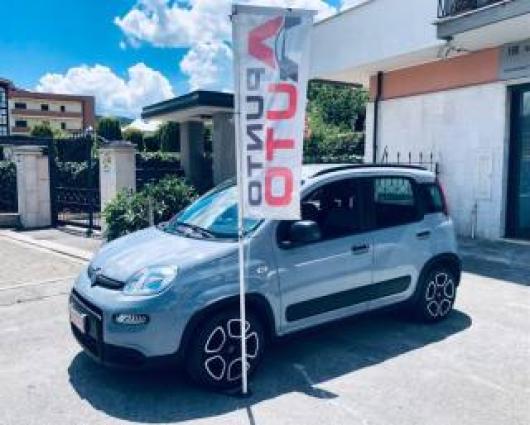 usato FIAT Panda