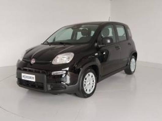 usato FIAT Panda