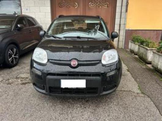 usato FIAT Panda