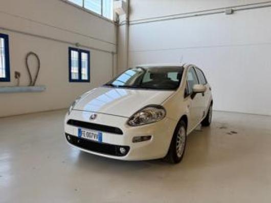 usato FIAT Punto