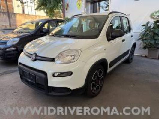 Panda