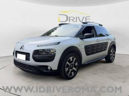 C4 Cactus