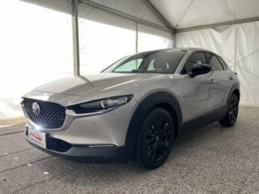 CX 30