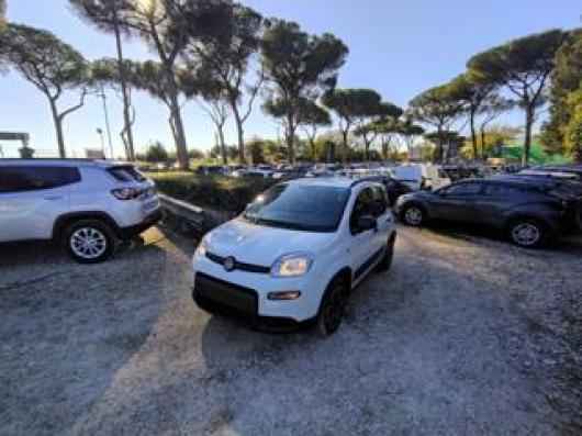usato FIAT New Panda