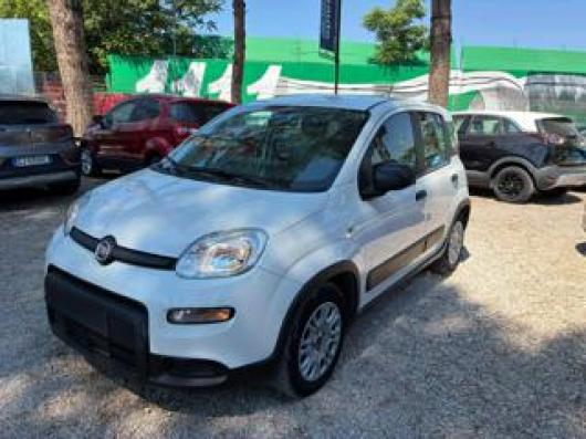 usato FIAT Panda