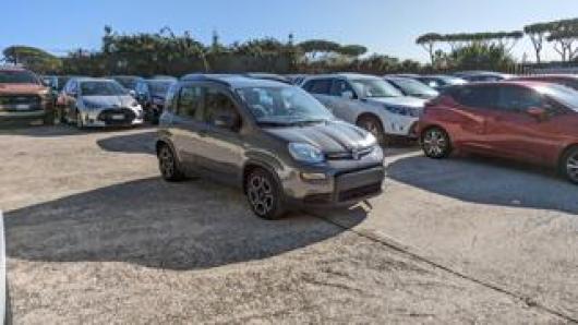 usato FIAT Panda