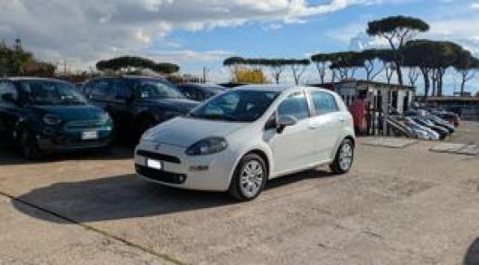 usato FIAT Punto