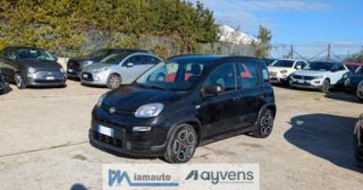usato FIAT Panda